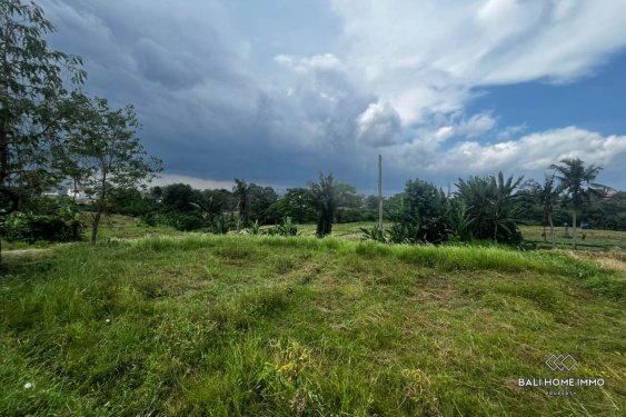 Image 5 from Tanah 6,14 are dengan pemandangan sawah dijual hak guna usaha di Perumahan Kedungu