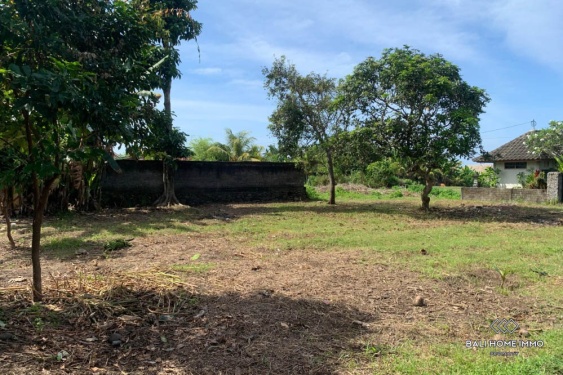 Image 5 from 6.2 terrains à vendre en pleine propriété et en location à Jembrana