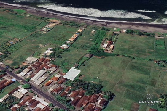 Image 2 from 6.2 are land for sale freehold and leasehold in Jembrana