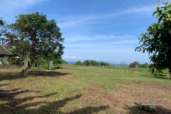 Image 4 from 6.2 terrains à vendre en pleine propriété et en location à Jembrana