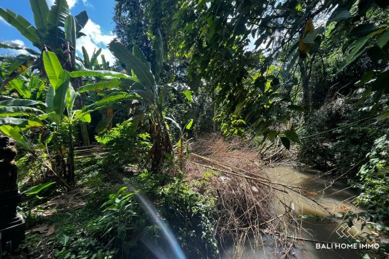 Image 2 from 6.75 are riverside land for sale in Tumbak Bayuh Bali