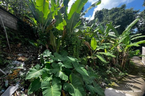Image 3 from 6.75 are riverside land for sale in Tumbak Bayuh Bali