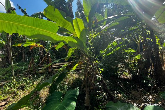 Image 2 from Dijual sewa tanah riverside 6.75 are di Tumbak Bayuh Bali