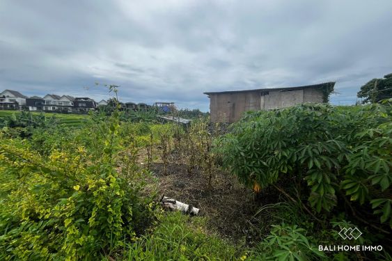 Image 4 from 6 are land for sale freehold with ricefield view in Cemagi Beachside