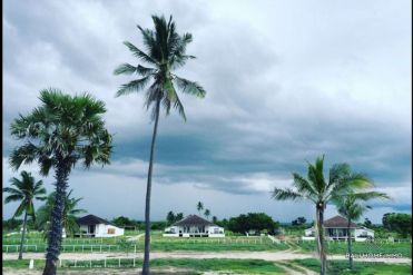 Image 11 from Dijual Villa 6 Kamar di Pinggir Pantai Sumba