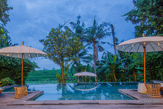 Image 2 from Villa Modern 6 Kamar Tidur Disewakan jangka panjang di Bali Canggu