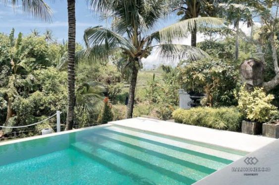 Image 12 from 6 Bedroom Villa for Sale and Rent in Pererenan