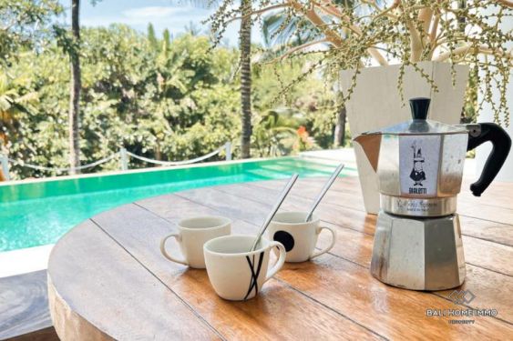 Image 7 from 6 Bedroom Villa for Sale and Rent in Pererenan