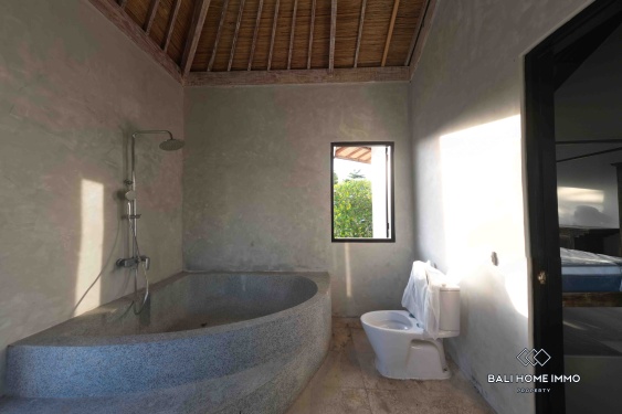 Image 17 from 6 bedroom villa for sale in Pererenan Bali