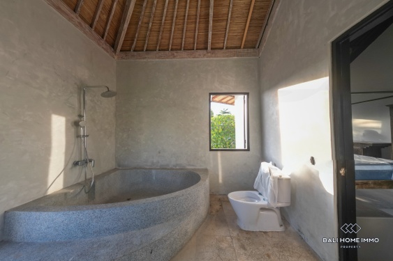 Image 5 from Villa keluarga 6 kamar yang baru direnovasi dijual di Pantai Pererenan, Bali.