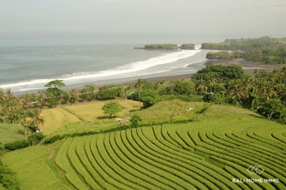 Image 8 from Terrain de 60 ares en bord de mer à vendre en pleine propriété à Kelecung Beach Tabanan