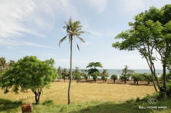 Image 4 from Terrain de 60 ares en bord de mer à vendre en pleine propriété à Kelecung Beach Tabanan