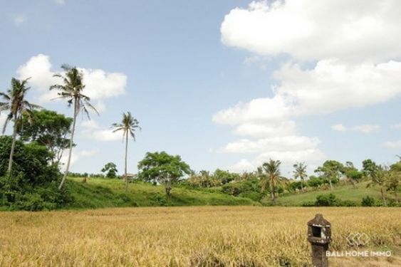 Image 7 from Terrain de 60 ares en bord de mer à vendre en pleine propriété à Kelecung Beach Tabanan