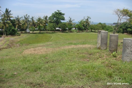 Image 6 from Terrain de 60 ares en bord de mer à vendre en pleine propriété à Kelecung Beach Tabanan