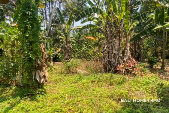 Image 2 from 60 Are Land for Sale Leasehold in Ubud Bali