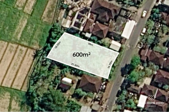 Tanah seluas 600 m² berpemandangan sawah dijual di Kedungu, Bali.