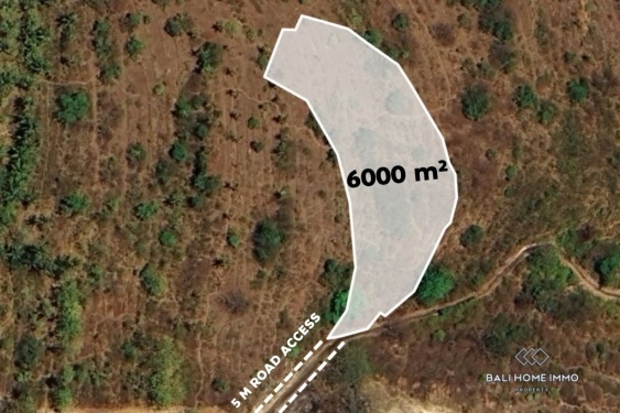 6000 m² LAND FOR SALE FREEHOLD IN NUSA PENIDA