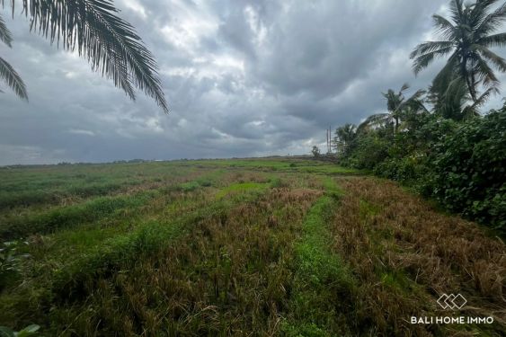 Image 3 from 62 are beachfront land for sale leasehold in Pasut Beach Tabanan