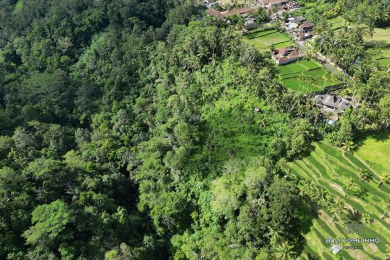 Image 9 from 53.30 Are Tanah Dijual Hak Sewa di Bali Ubud