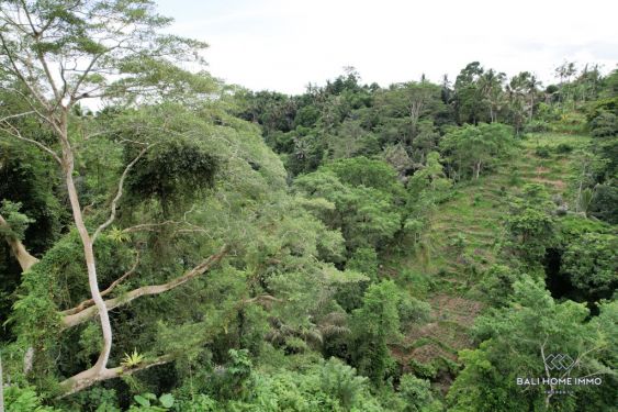 Image 4 from 53.30 Are Tanah Dijual Hak Sewa di Bali Ubud