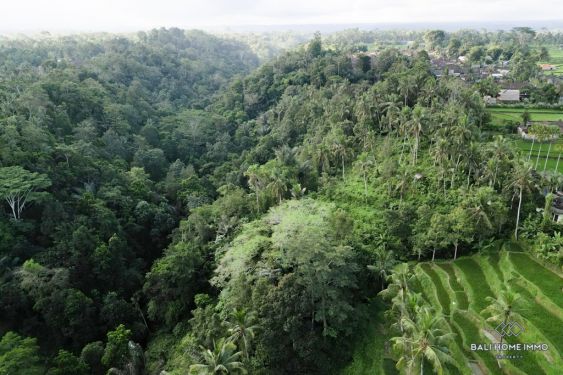 Image 5 from 53.30 Are Tanah Dijual Hak Sewa di Bali Ubud