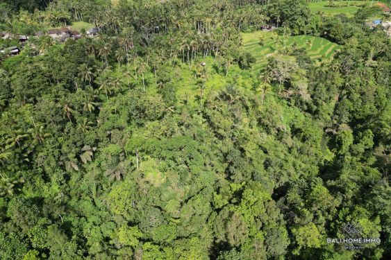 Image 6 from 53.30 Are Tanah Dijual Hak Sewa di Bali Ubud