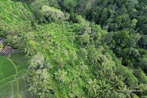 Image 7 from 53.30 Are Tanah Dijual Hak Sewa di Bali Ubud