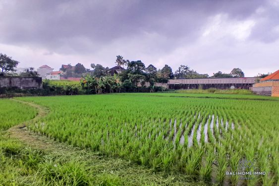 Image 3 from 6 are terrains à vendre en location-vente à Babakan Canggu Bali