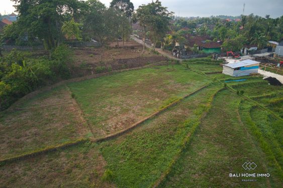 Image 3 from Terrain avec vue sur la ceinture verte à vendre en leasing à Kedungu Tabanan Bali