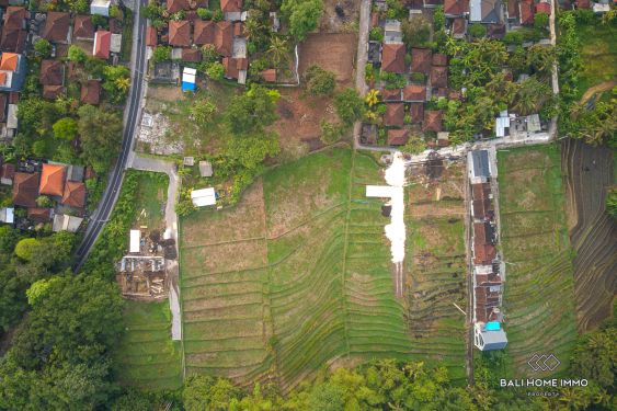 Image 2 from Tanah dengan Pemandangan Sawah Zona Hijau Disewakan di Kedungu Tabanan Bali