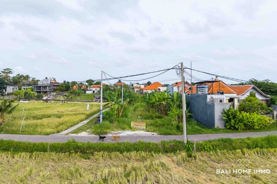 Image 6 from 7.5 are Land with Ricefield View For Sale in Berawa