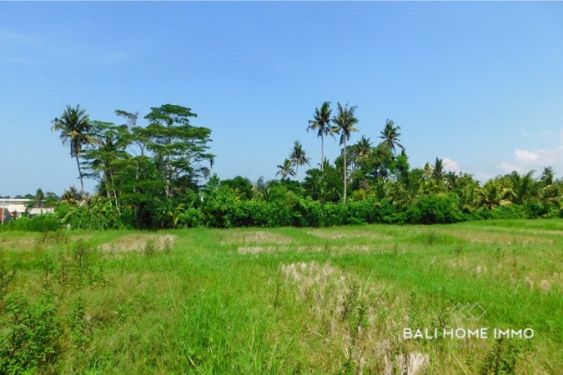 Image 3 from 7.75 are land for sale freehold in Cepaka Bali