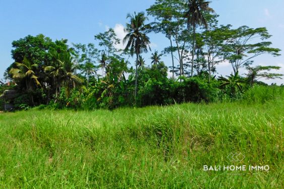Image 5 from Terrain de 7,75 ares à vendre à Cepaka Bali