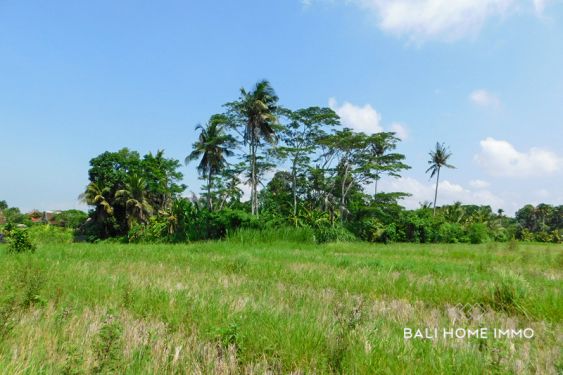 Image 6 from Terrain de 7,75 ares à vendre à Cepaka Bali