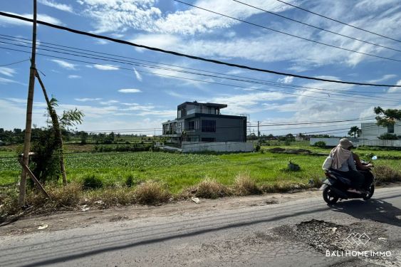 Image 6 from Terrains 7 are en bordure de rue à vendre près de la plage de Nyanyi