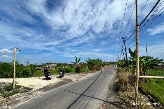 Image 5 from Terrains 7 are en bordure de rue à vendre près de la plage de Nyanyi