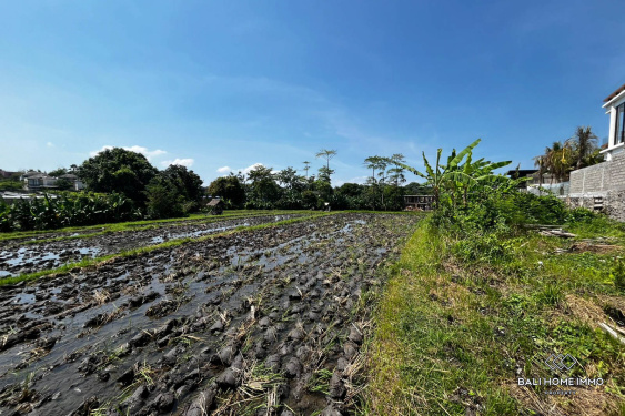 Image 3 from 76 are streefront land for sale in Berawa