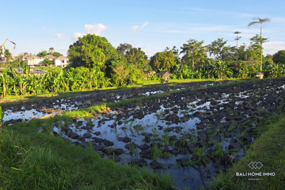 Image 2 from 76 are streefront land for sale in Berawa