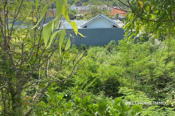 Image 3 from Streetfront Land for Sale Freehold in Uluwatu Bali