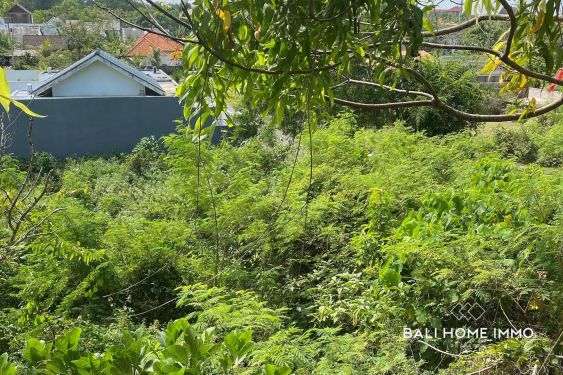 Image 2 from Streetfront Land for Sale Freehold in Uluwatu Bali