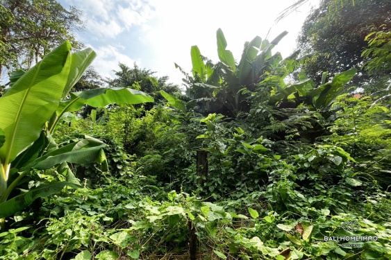 Image 2 from Tanah seluas 8,65 are berpemandangan sungai dijual dengan status hak milik di Umalas.