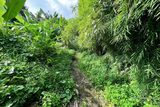 Image 5 from Tanah seluas 8,65 are berpemandangan sungai dijual dengan status hak milik di Umalas.