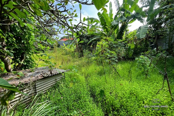 Image 7 from Tanah seluas 8,65 are berpemandangan sungai dijual dengan status hak milik di Umalas.