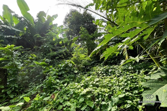 Image 4 from Tanah seluas 8,65 are berpemandangan sungai dijual dengan status hak milik di Umalas.