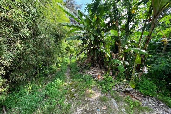 Image 8 from Tanah seluas 8,65 are berpemandangan sungai dijual dengan status hak milik di Umalas.