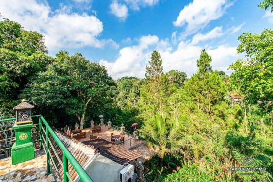 Image 2 from 81.3 Are Tanah Dijual Hak Milik di Bali Ubud Utara Tegallalang