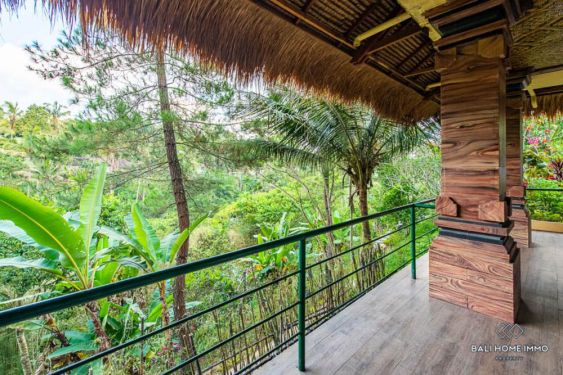 Image 2 from 81.3 Are Land for sale freehold in Bali North Ubud Tegallalang