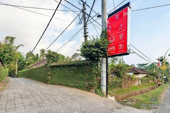 Image 3 from 81.3 Are Land for sale freehold in Bali North Ubud Tegallalang
