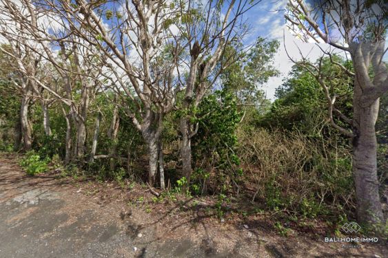 Image 3 from 8 ARE LAND FOR SALE FREEHOLD IN BALI UNGASAN