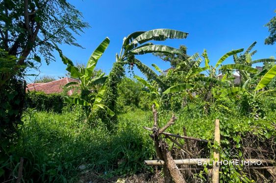 Image 3 from 8 ARE LAND FOR SALE LEASEHOLD IN DALUNG  BALI